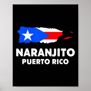 Póster Bandera Patriótica De Eeuu Naranjito