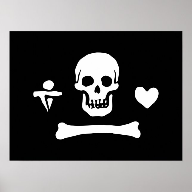 Póster Bandera pirata Stede Bonnet Jolly Roger (Frente)