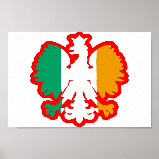 PÓSTER BANDERA POLACA/IRLANDESA (Frente)