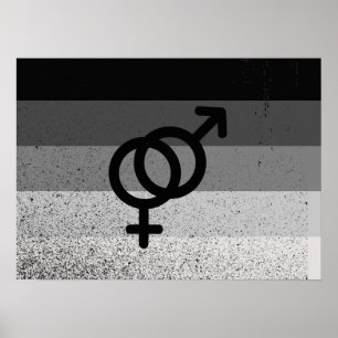 Póster BANDERA RECTO ORIGINAL CON SÍMBOLO -.png