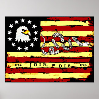 Póster Bandera Revolucionaria de Estados Unidos