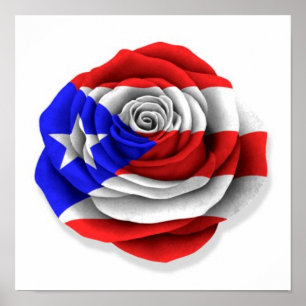 Póster Bandera Rosa puertorriqueña en blanco
