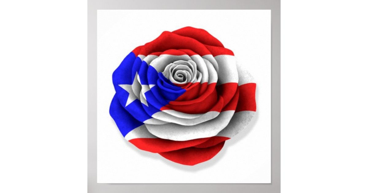 Póster Bandera Rosa puertorriqueña en blanco | Zazzle.es
