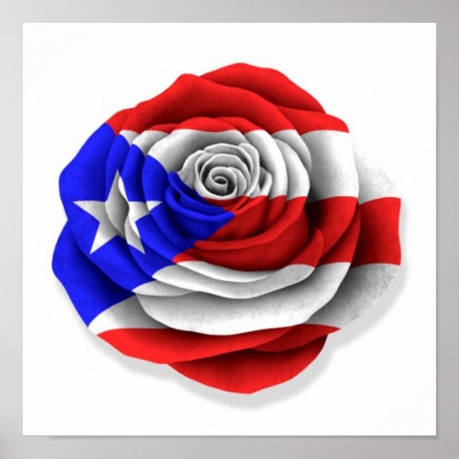 Póster Bandera Rosa puertorriqueña en blanco (Frente)
