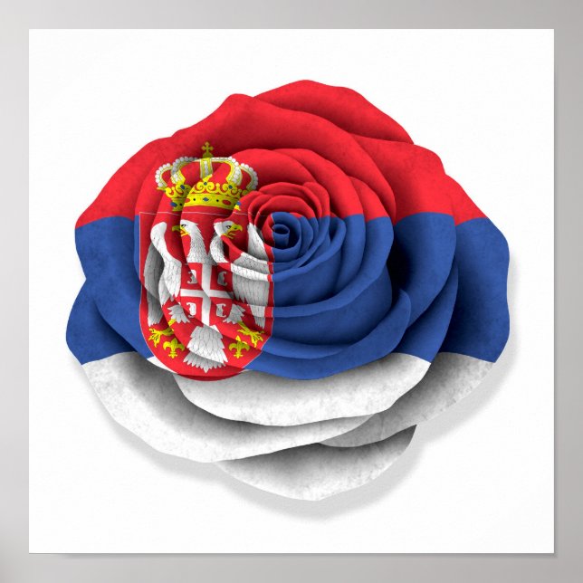 Póster Bandera Rosa serbia en blanco (Frente)
