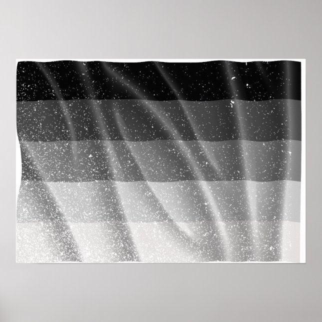 Póster BANDERA STRAIGHT VOLANDO -.png (Frente)