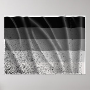 Póster BANDERA STRAIGHT VOLANDO -.png