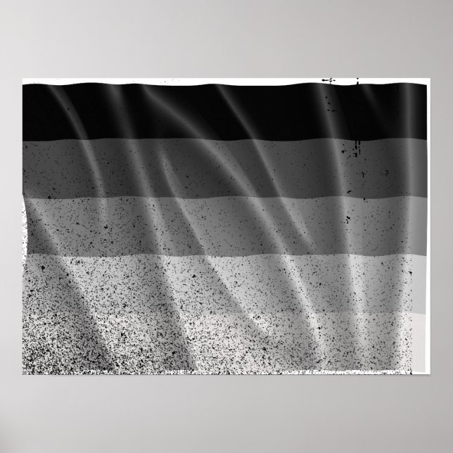 Póster BANDERA STRAIGHT VOLANDO -.png (Frente)