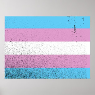 Póster BANDERA TRANS ORIGINAL -.png