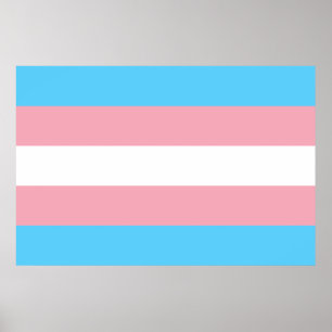 Póster Bandera transgénero orgullo LGBT símbolo gay homos