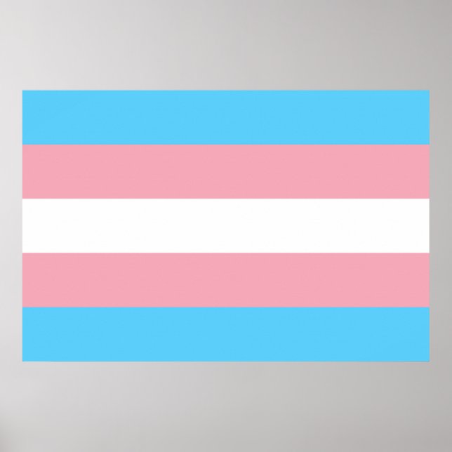 Póster Bandera transgénero orgullo LGBT símbolo gay homos (Frente)