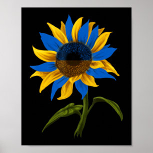Póster Bandera ucraniana de girasol junto a Ucrania