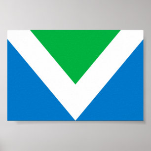 Póster Bandera vegana internacional