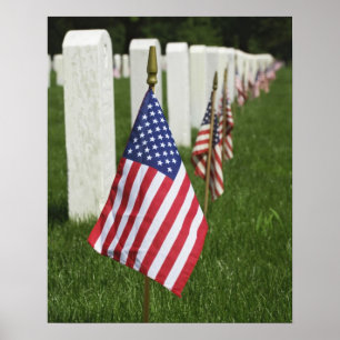 Póster Banderas americanas en las tumbas de veteranos