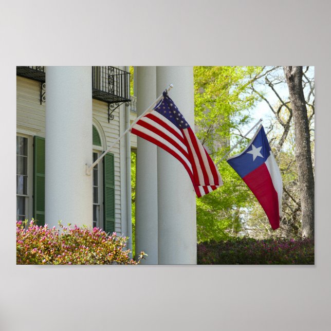 Póster Banderas, Casa Goodman LeGrand, Tyler, Texas (Frente)