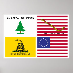Póster Banderas de la revolución estadounidense