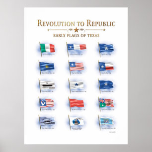 Póster Banderas de Texas
