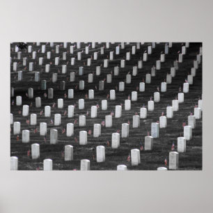 Póster Banderas del color de Arlington B&W