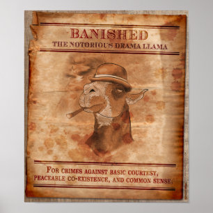 Póster Banish las llamas del drama - 12" x 14" poster