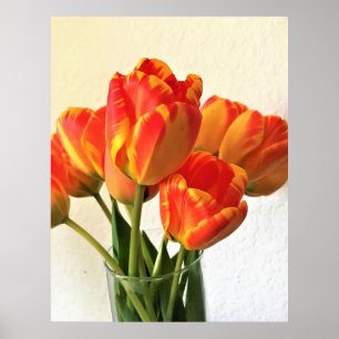 Póster Banja Luka Tulips