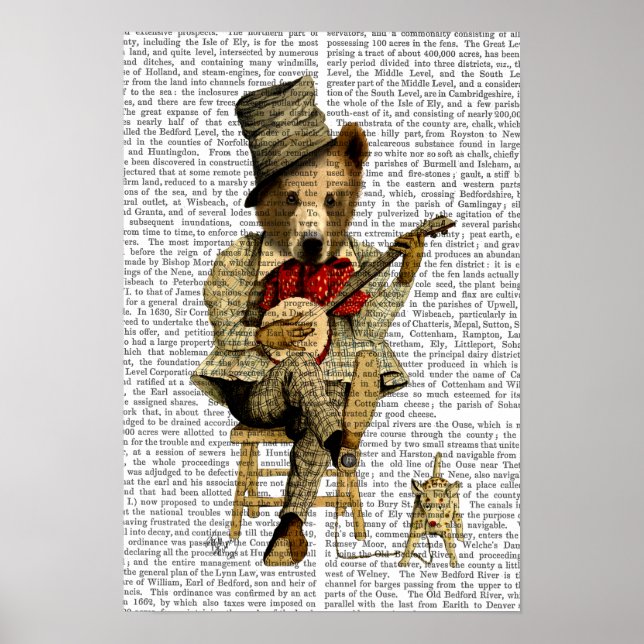 Póster Banjo Bear (Frente)