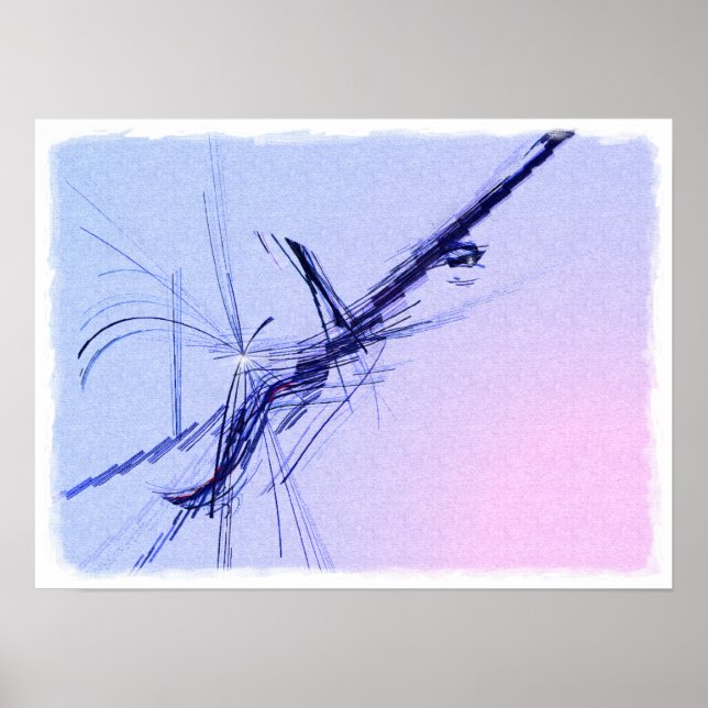 Póster Banjo en C Major (Frente)