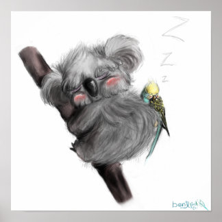 Póster Banjo Koala y Benji Bird