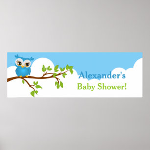 Póster Banner Baby Shower de Sweet Baby Owl Boy