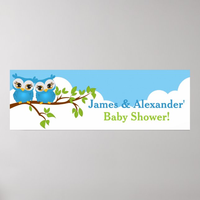 Póster Banner Baby Shower de Sweet Twins Owls Boy (Frente)