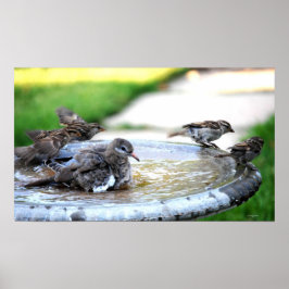 Póster Baño comunal