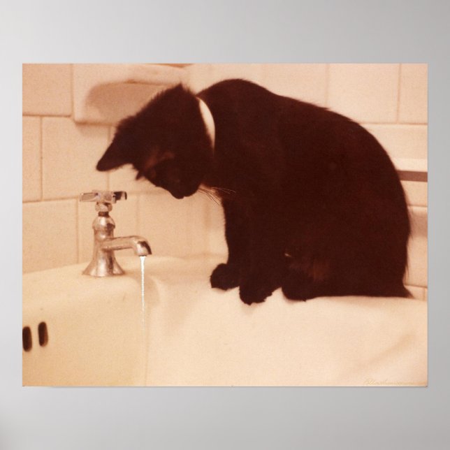 Póster Baño de antigüedades de Pepper Black Cat (Frente)