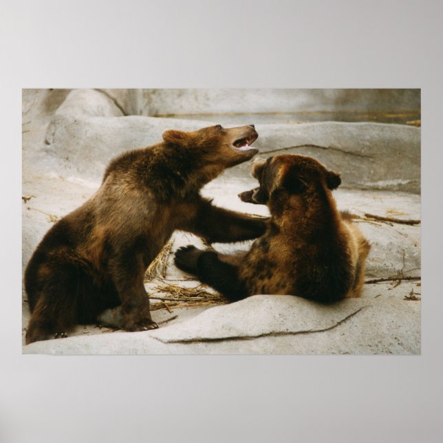 Póster Baños (Frente)