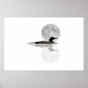 Póster Baños En El Poster De La Luna