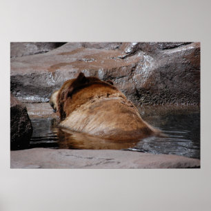 Póster Baños marrones