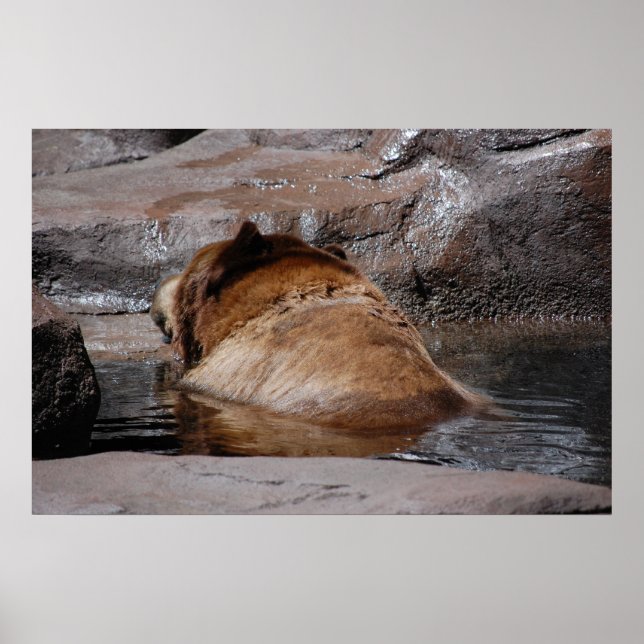 Póster Baños marrones (Frente)