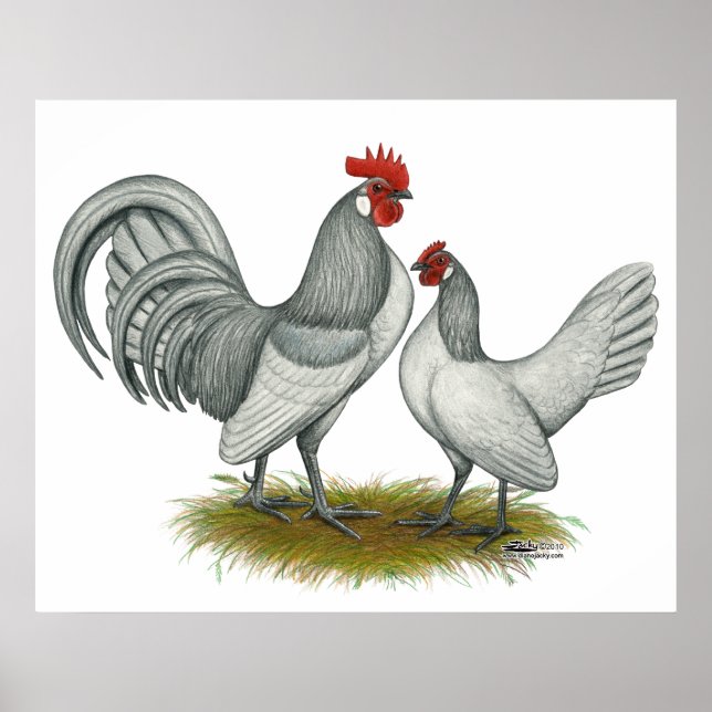 Póster Bantam holandés: auto azul (Frente)