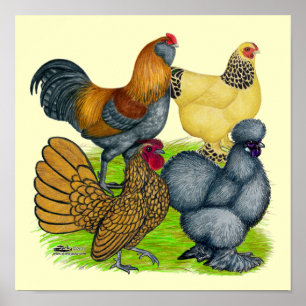 Póster Bantam Quartet
