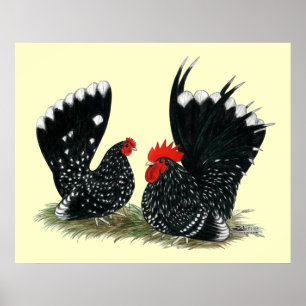 Póster Bantams Mottled