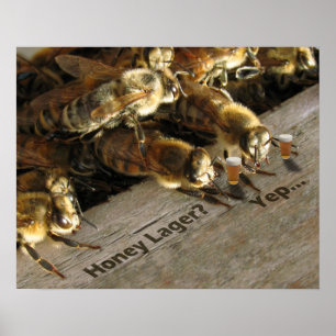 Póster ¿Bar Bees_Honey Lager?