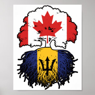 Póster Barbados Bandera de raíces de árbol canadiense can