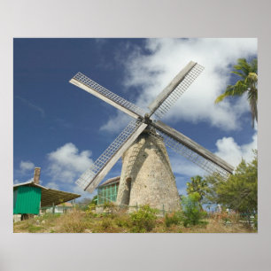 Póster BARBADOS, costa noreste, Morgan Lewis: Morgan