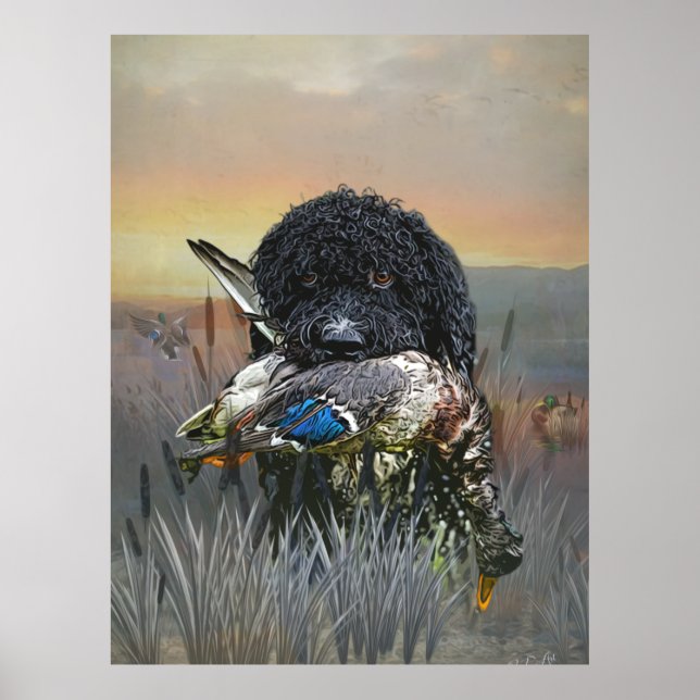Póster Barbet , Perro de Agua Francés (Frente)