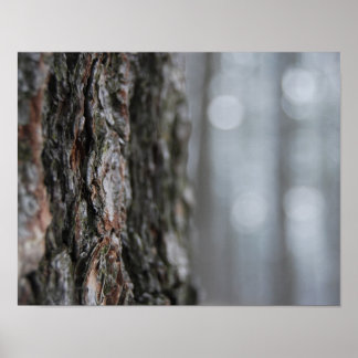 Póster Barca del árbol