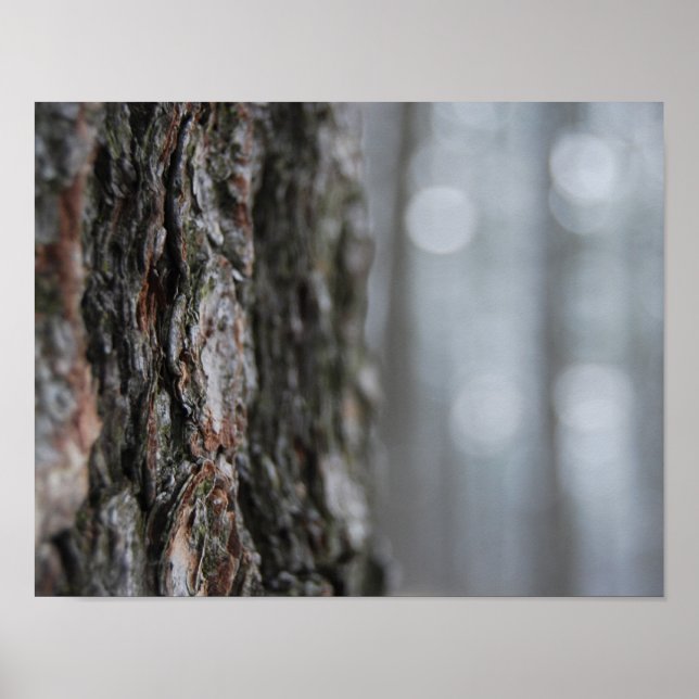 Póster Barca del árbol (Frente)