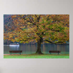 Póster Barca en un lago en otoño, Alemania