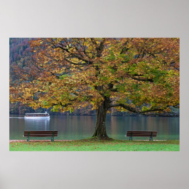 Póster Barca en un lago en otoño, Alemania (Frente)