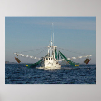 Póster Barco camaronero
