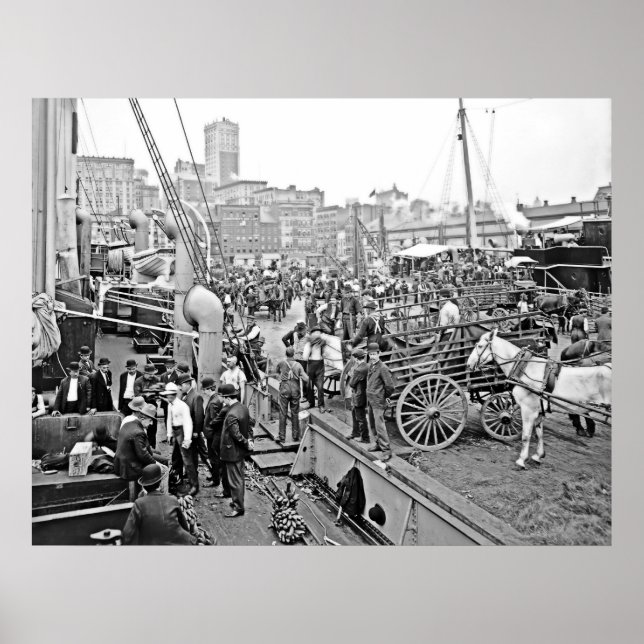 Póster Barcos de Banana Baltimore (Frente)