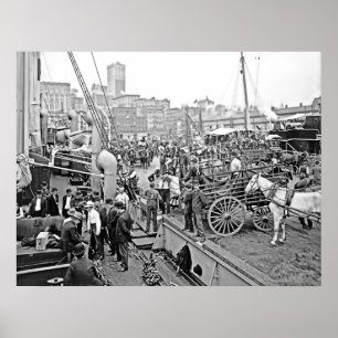 Póster Barcos de plátano de Baltimore