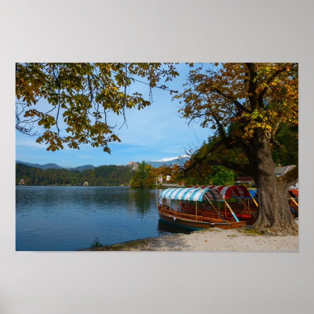 Póster Barcos turísticos en el lago Bled en otoño (Frente)